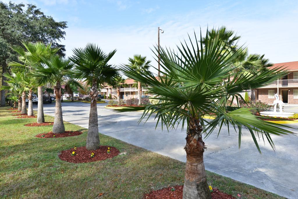Savannah Inn And Suites Savannah Port Area Amenities photo